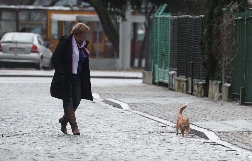 Nowy przyjaciel Kaczyńskiego