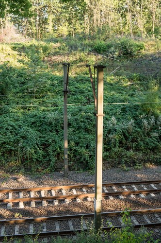 Okolice torów kolejowych w pobliżu 65. kilometra trasy łączącej Wrocław z Wałbrzychem