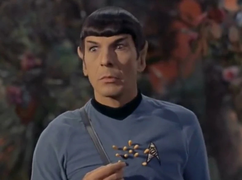 538559_zvezdane-staza-01