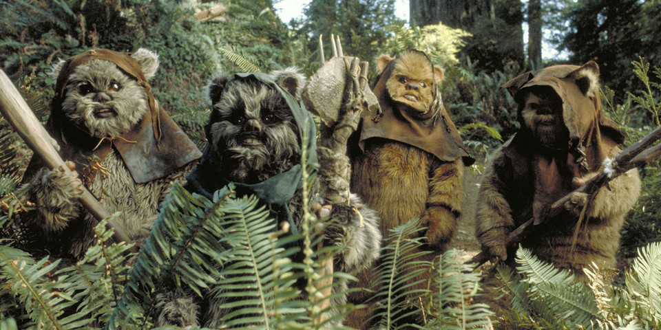 Uroczy jak Ewok