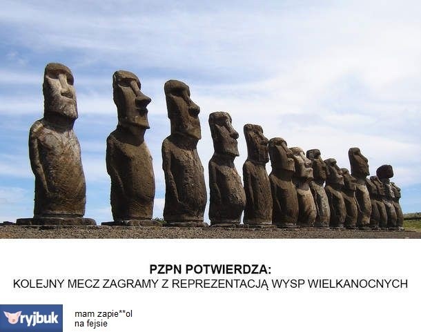 Galeria memów po meczu Polska - Irlandia
