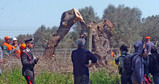 ITALY BACTERIA INFECTED OLIVE TREES (First Xylella-hit tree chopped down)