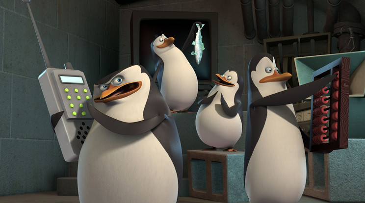 Ünnepi epizóddal készülnek a Madagaszkár pingvinjei