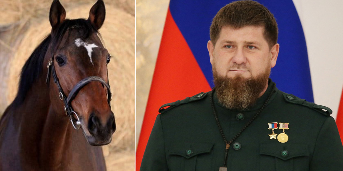 Złodzieje ukradli Ramzanowi Kadyrowowi konia. 
