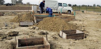 W Kokoszkach powstaje cmentarz dla zwierząt