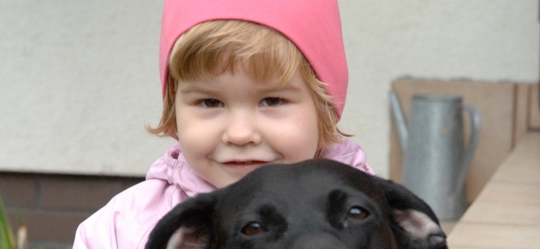 Przygarnij bezdomnego psa