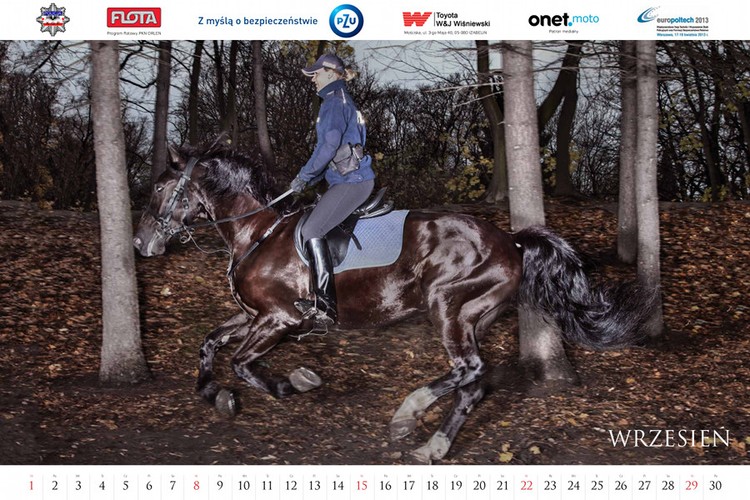 Kalendarz polskiej policji na 2013 rok