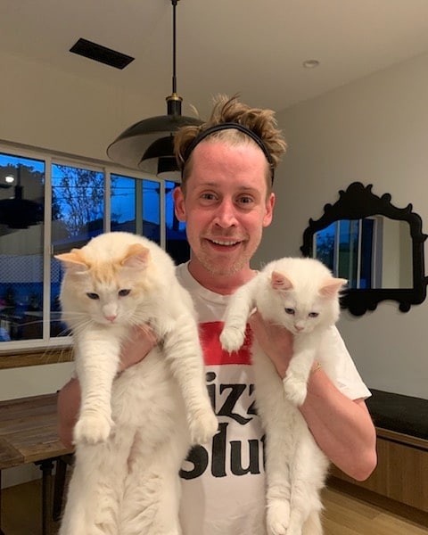 Americký herec Macaulay Culkin.