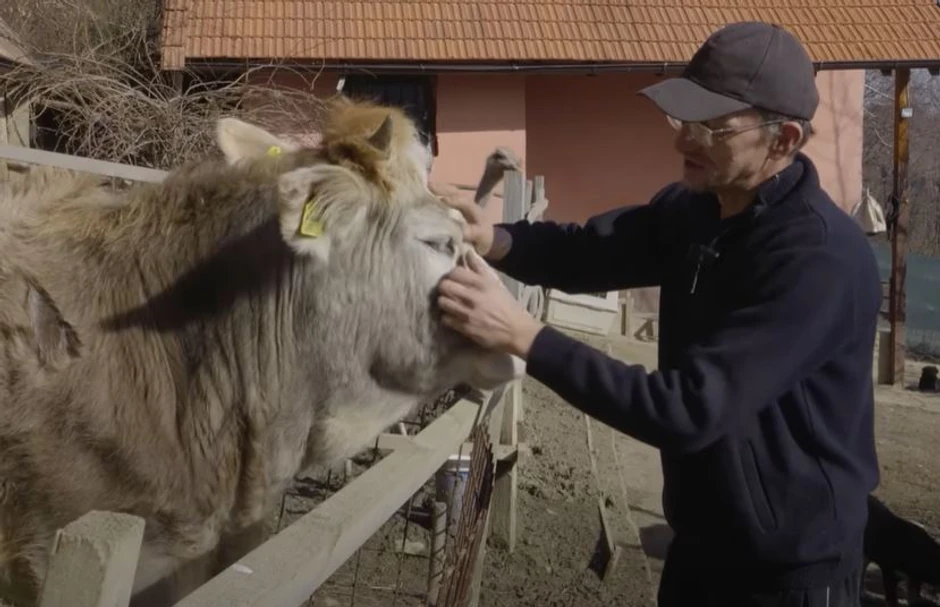 Amer na svom imanju ima preko 500 životinja