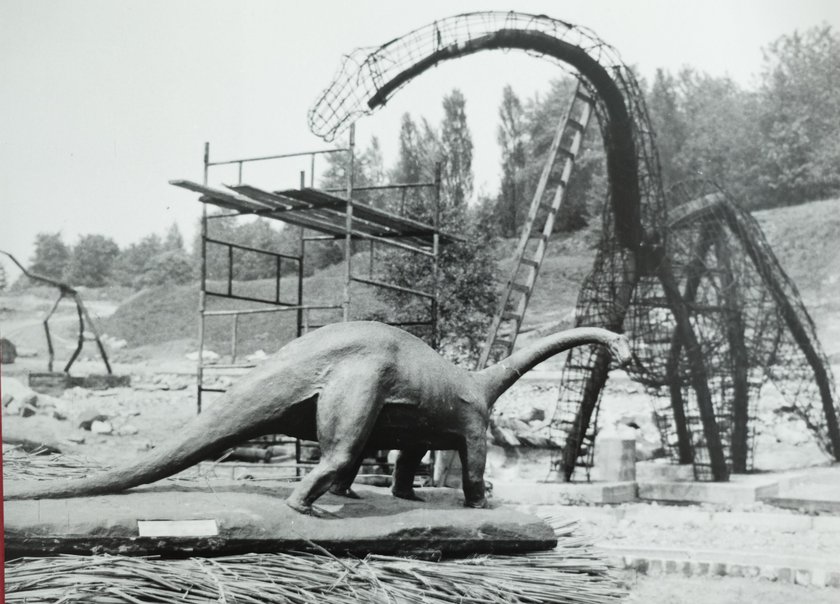 Chorzów. Śląski Ogród Zoologiczny ma 60 lat