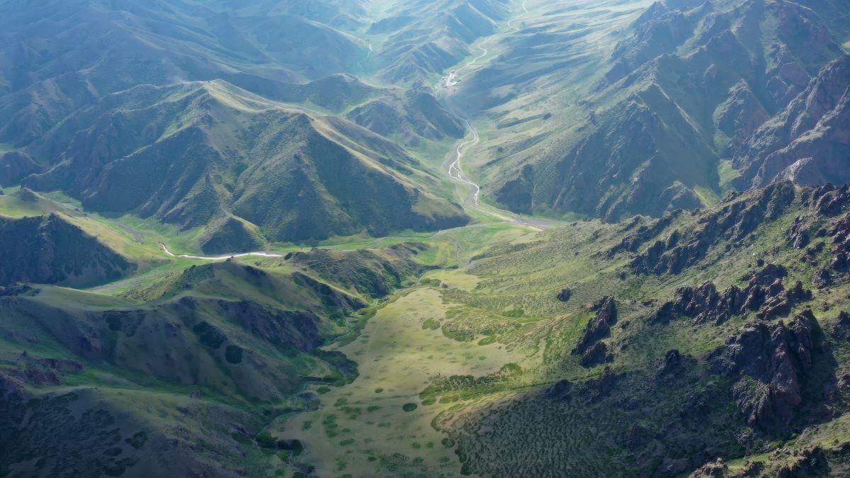 Chiny mają problem. Sadzą drzewa, a tracą najcenniejszy zasób