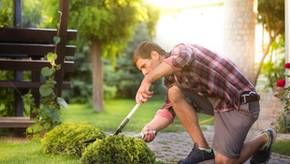 Beliebte Gartenscheren von Gardena bis Löwe im Vergleich