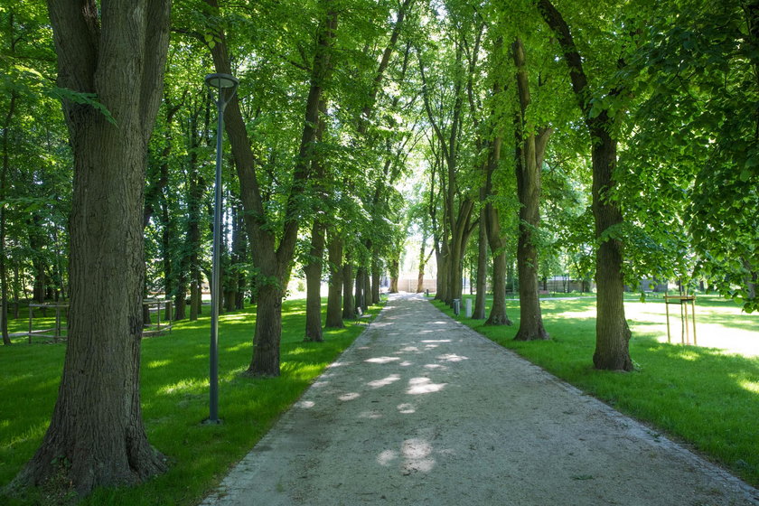 Park przy Browarnej zyskał blask