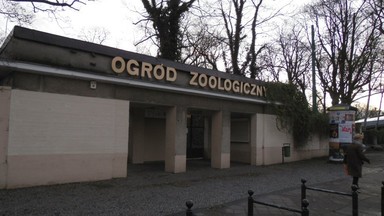 Powiatowy lekarz weterynarii ma zastrzeżenia do poznańskiego zoo