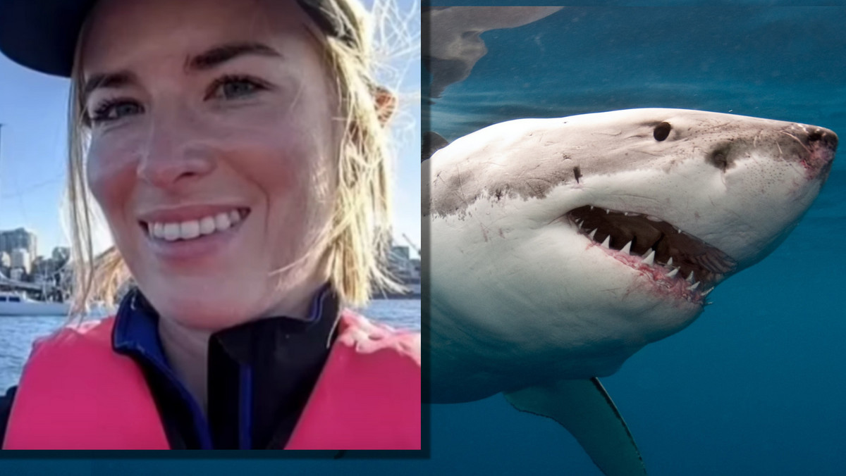 "Woda była czerwona od krwi".  ​​Atak rekina w porcie w Sydney