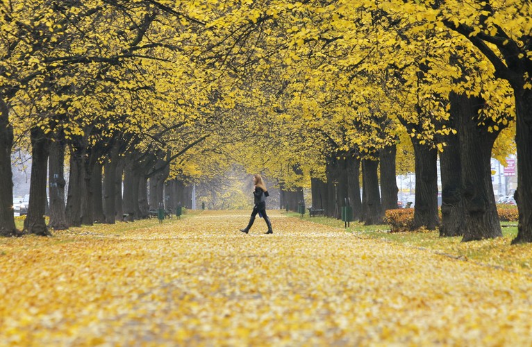 Jesień w Europie - Rosja