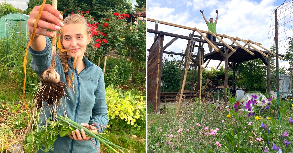 Olga kupiła działkę ROD. "Dziś kwota może wydawać się śmieszna"