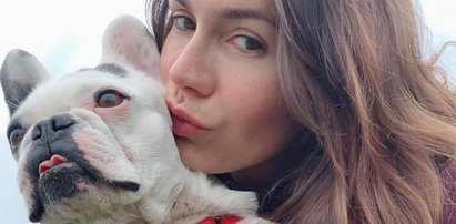 Olga Bołądź uratowała psa. Pokazała drastyczne zdjęcie
