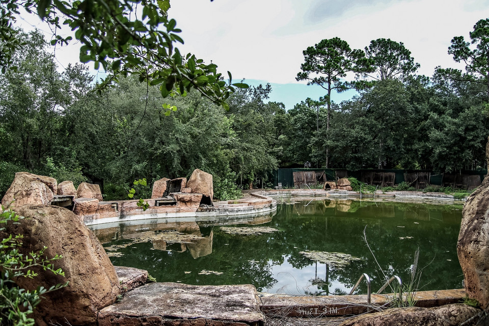 Opuszczony park wodny Walt Disney World