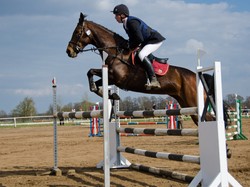 Wirus zabija konie. Zawody jeździeckie w 10 krajach Europy, w tym w Polsce odwołane