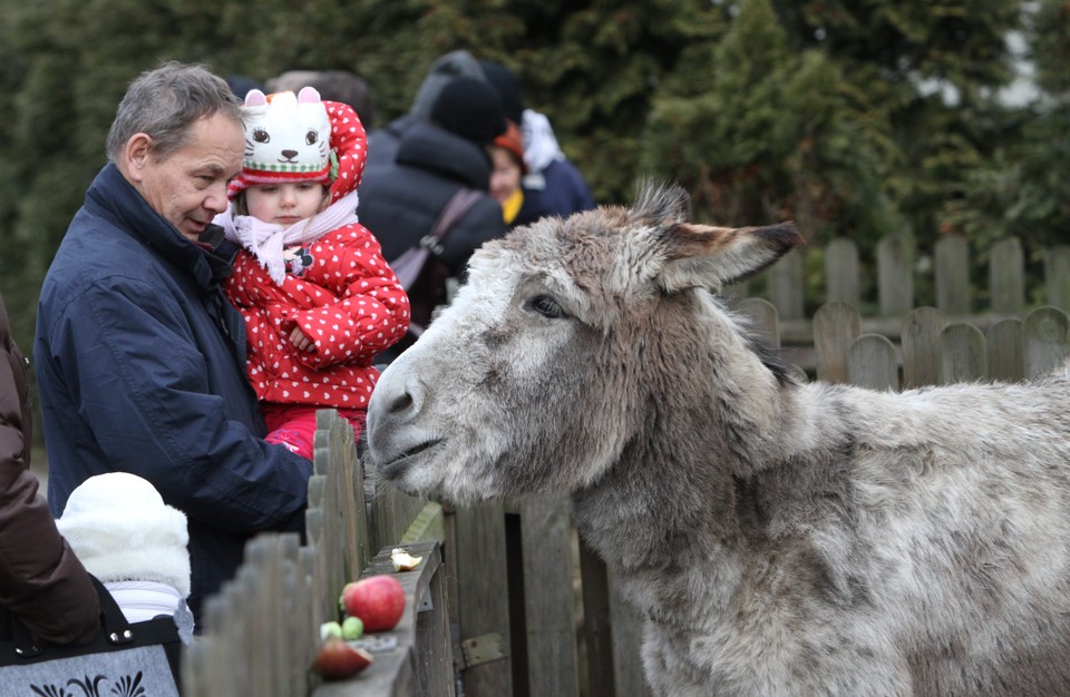 WARSZAWA BOŻE NARODZENIE SZOPKA