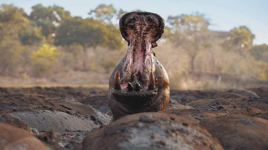 BBC | Foto: BBC Studios