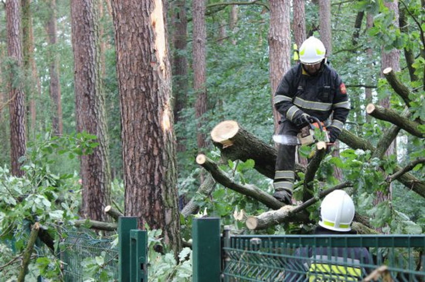 Wielkopolska spustoszona po niedzielnej nawałnicy