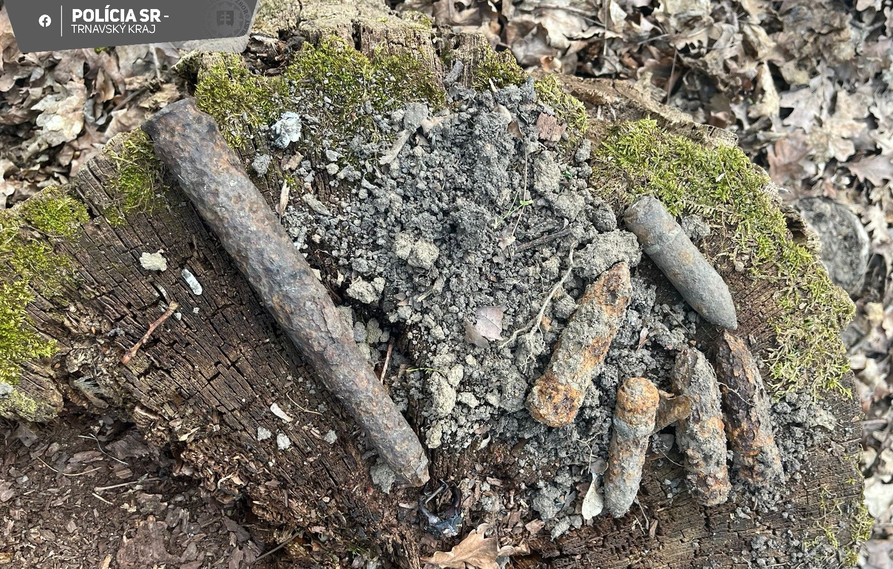 V lesoch v okolí Holíča sa nachádzala munícia. 