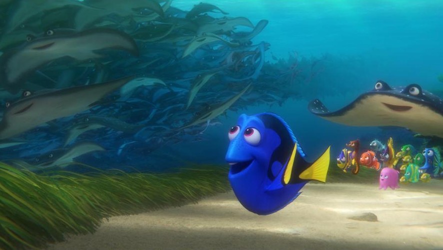 4. 'Gdzie jest Dory?'