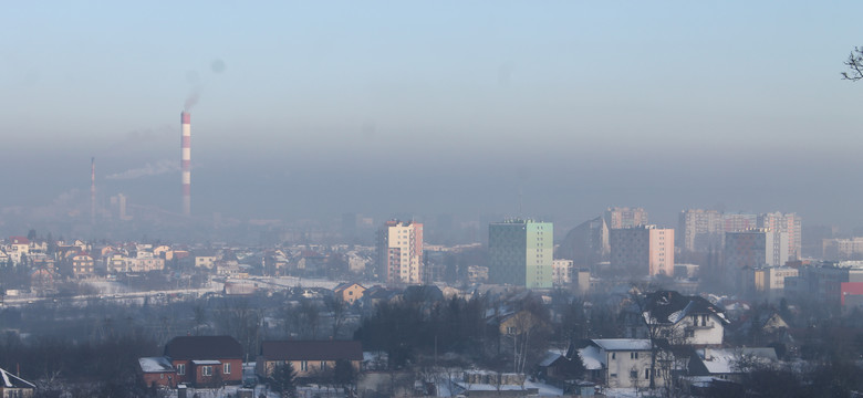 Prof. Kleczkowski: za nasze grzechy w kwestii smogu ludzie będą cierpieć jeszcze w 2050 r.