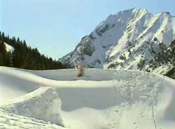 Prawie jak... Adam Małysz