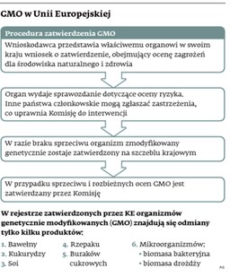 Podjęcie decyzji o GMO w naszych rękach