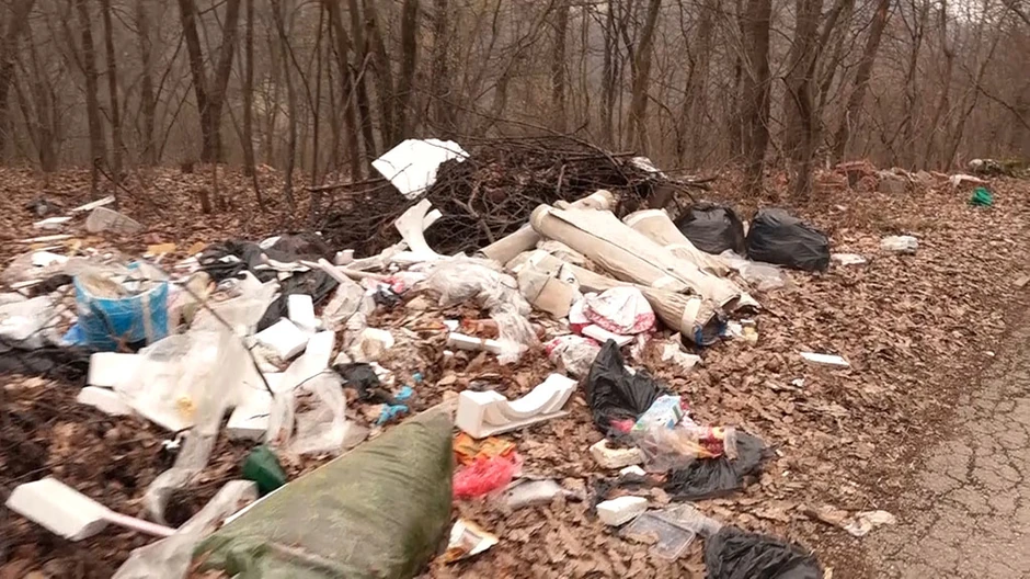 Mrtve lisice pronađene su u džakovima na divljoj deponiji u naselju Brđani