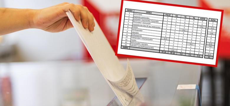 Eurowybory 2024. Politolog mówi, kto wygra i jak rozłożą się mandaty