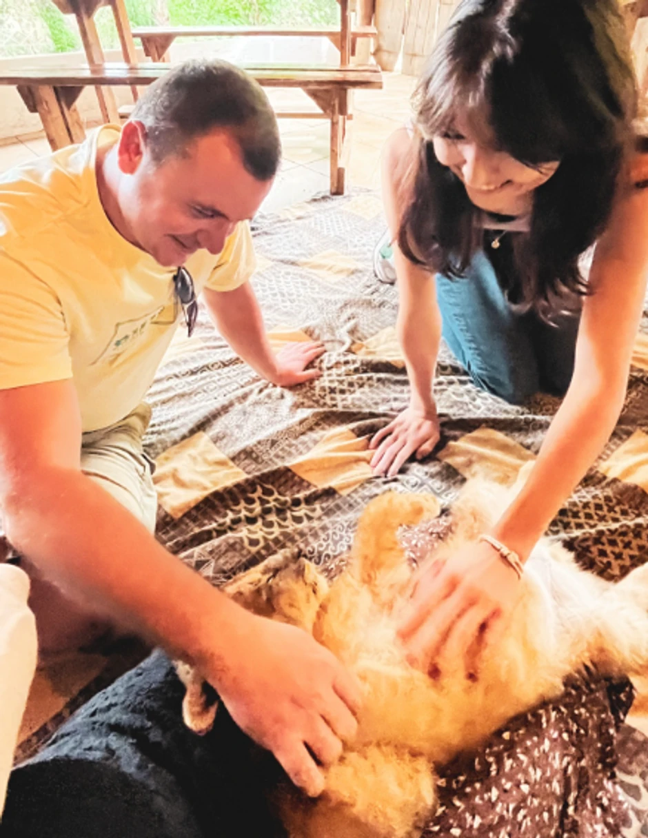 Angelina Topić, objava