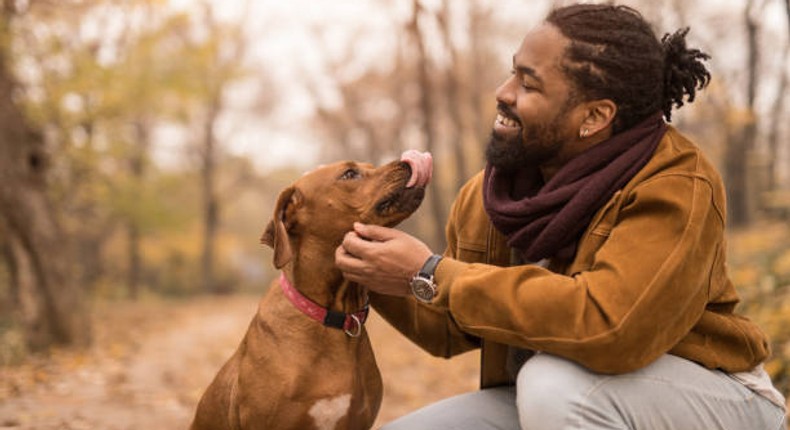 Islam advises to focus on other pets [iStock]