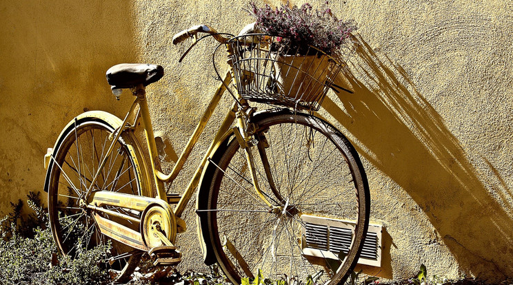 64,3 százalékkal többen bicikliztek januárban, mint tavaly / Illusztráció: Pixabay