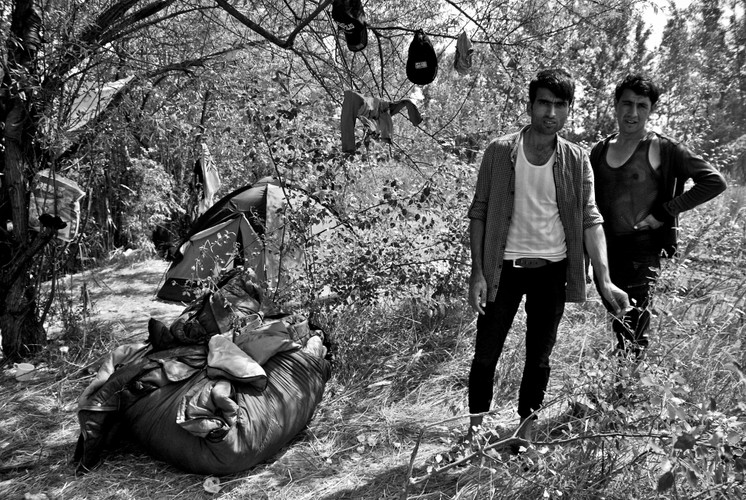 Uchodźcy w Suboticy, Serbia