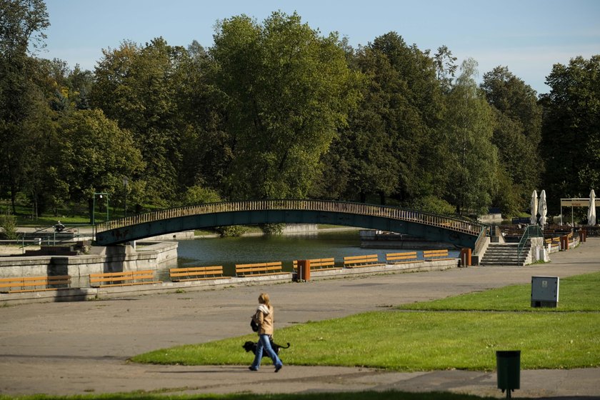 Park Śląski