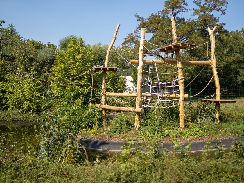 Skłócone stado lemurów dostało rezydencję na zgodę