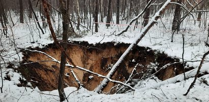 Kolejne zapadliska w okolicach Trzebini. Nadleśnictwo ostrzega i publikuje mapy zagrożeń