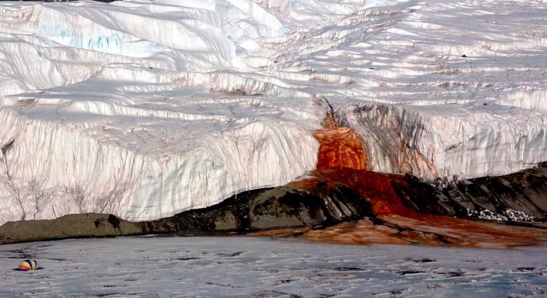 Antarctica's Blood Falls seeps from the end of the Taylor Glacier into Lake Bonney on November 26, 2006.National Science Foundation/Peter Rejcek