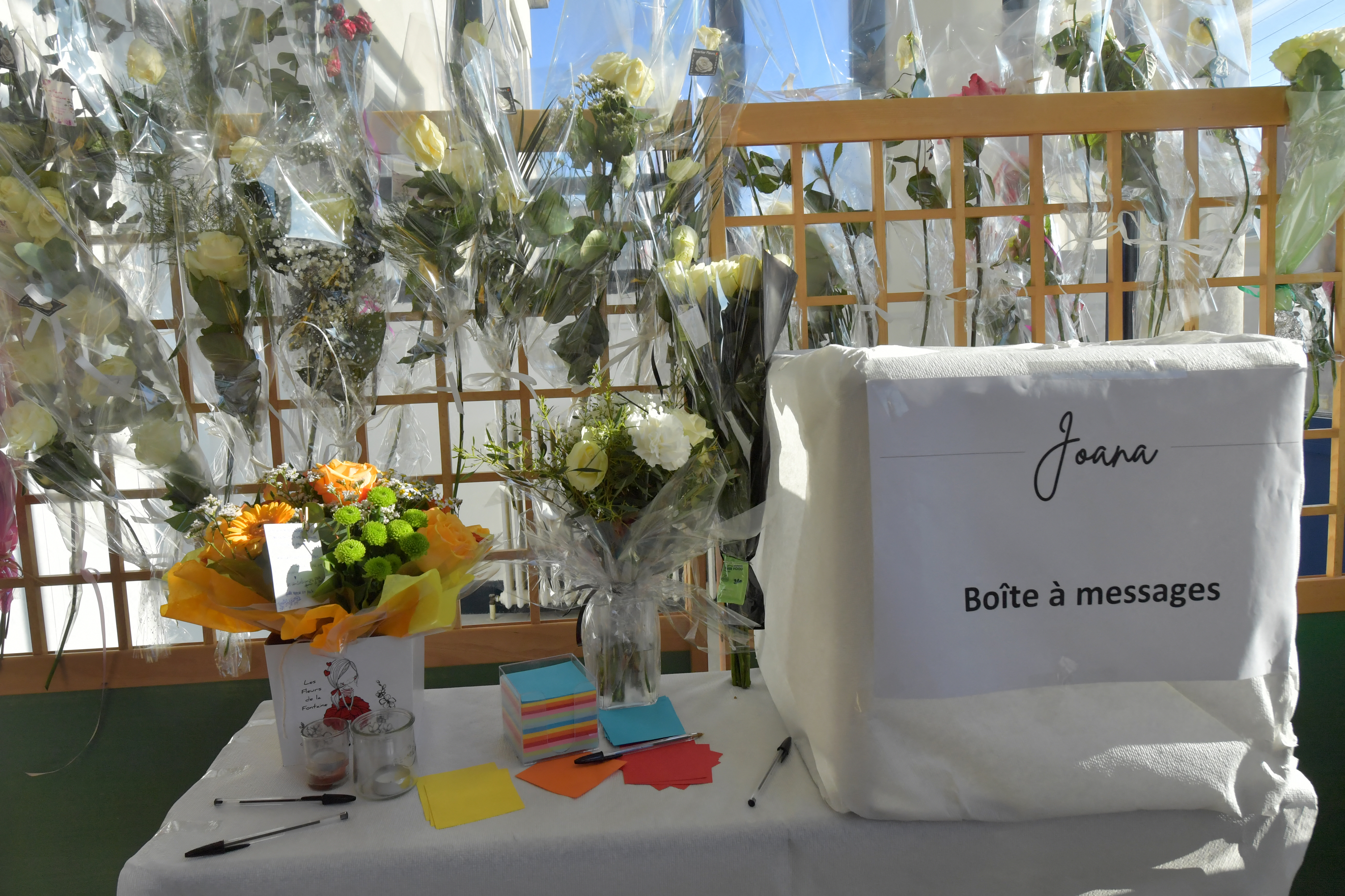 Autista bus ai domiciliari per morte maestra in incidente