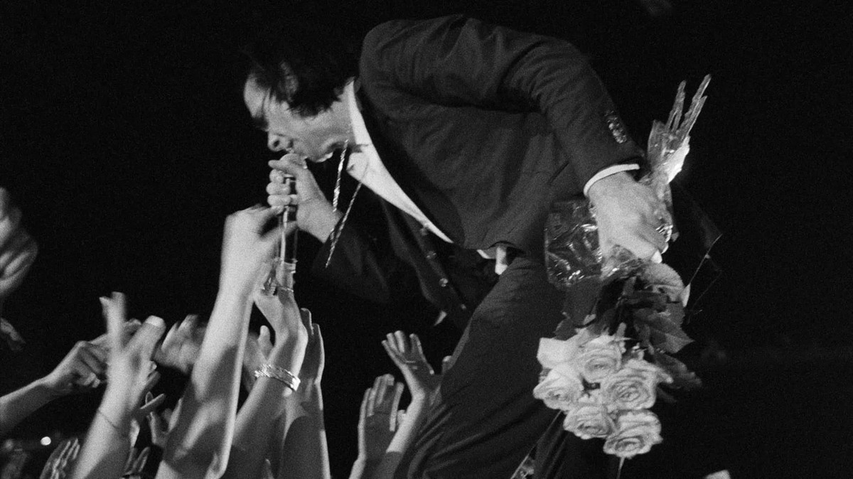 Nick Cave