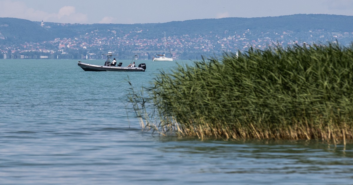 Egyre sósabbá válhat a Balaton vize - Blikk