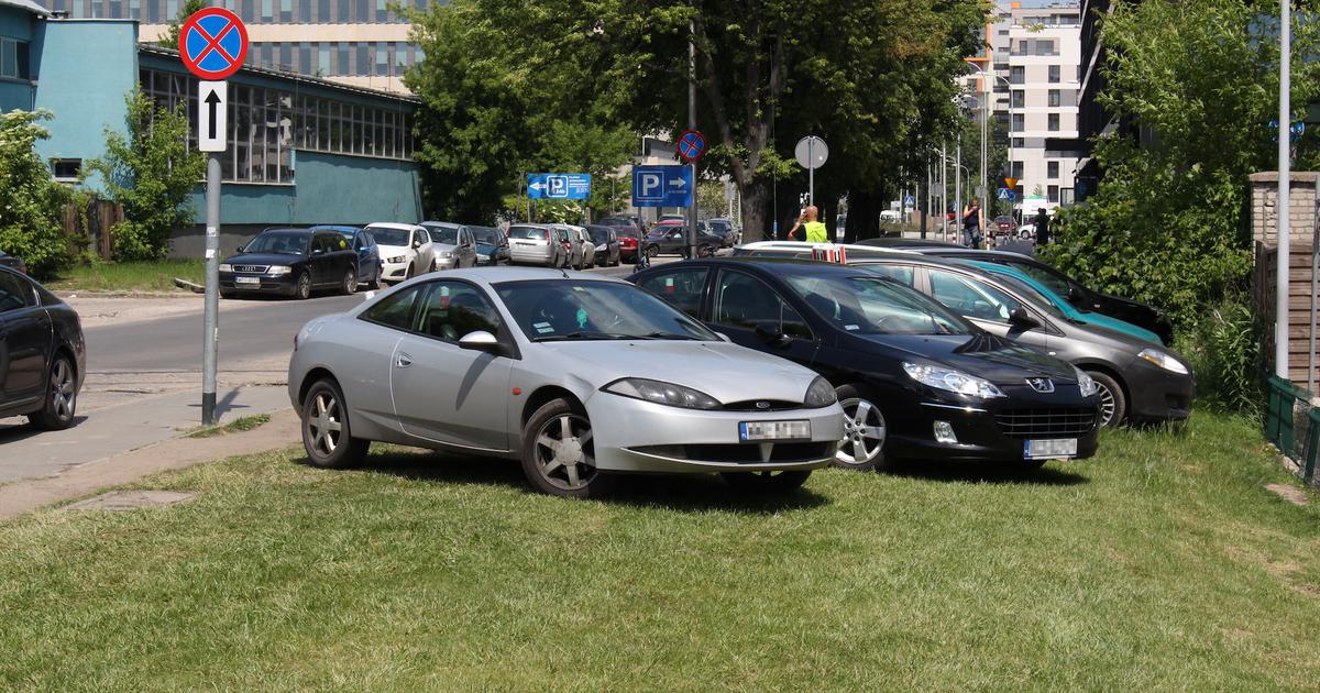  Setki mandatów i pouczeń. Zapracowana straż miejska nad morzem