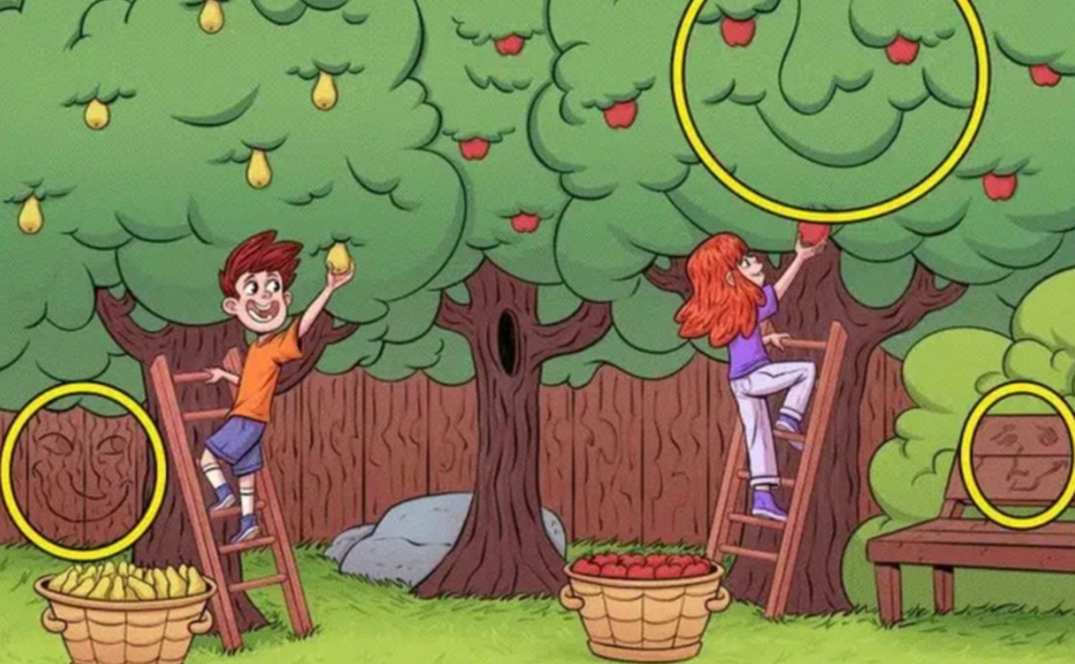 Vyriešený hlavolam