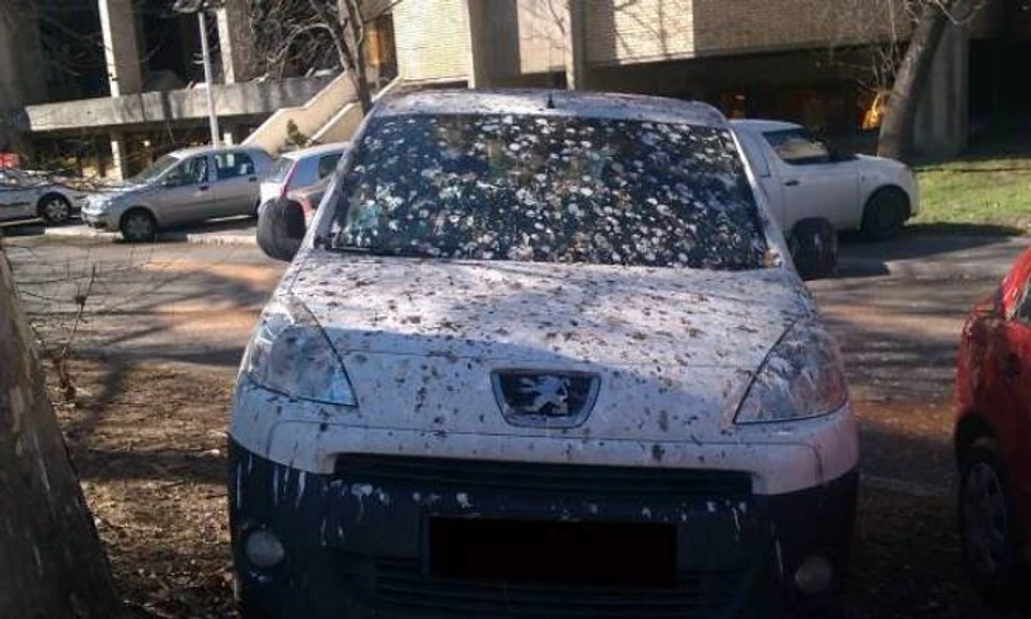 Auto koji su "obeležile" ptice