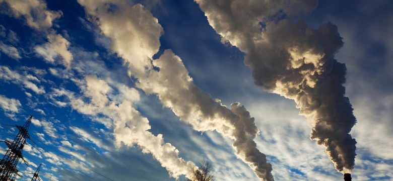 Cofnięto środki na walkę ze smogiem. "Przywykliśmy do decyzji, z których nikt się nie tłumaczy"