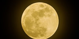 Pełnia Księżyca – październik 2021. Kiedy jest Księżyc Myśliwych? Co to takiego?